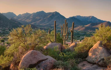 arizona