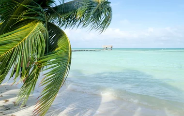 Cuba en juillet : quelle plage paradisiaque choisir