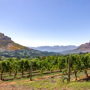 Combien de temps partir en Afrique ?