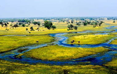 okavango Botswana
