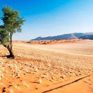 Combien de temps partir au Kenya ?