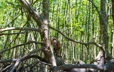 La Malaisie dans l'Océan Indien