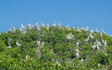 casamance sénégal