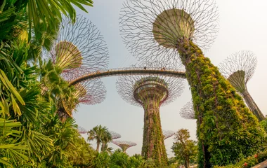 singapour