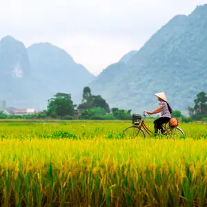 Les excursions au Vietnam