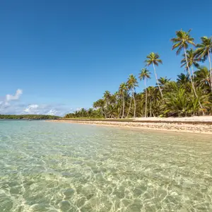 Faire du fitness en Martinique