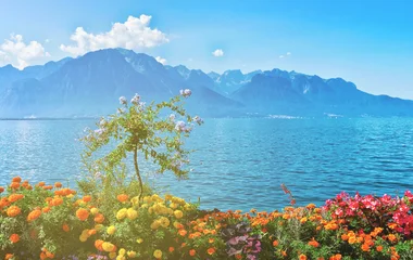 Suisse