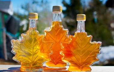 gastronomie au canada sirop d'érable