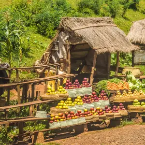 La gastronomie à Madagascar