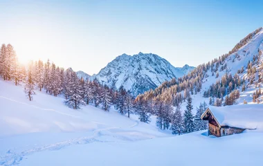 grands glaciers de la vallée des Grisons