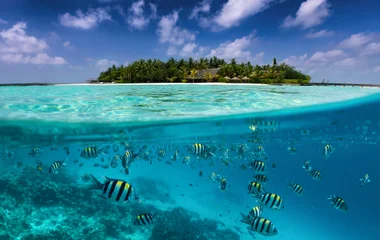 plages aux Maldives