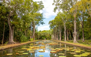 Découvertes incontournables entre ville et nature