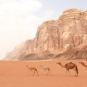 Voyage en Jordanie en décembre