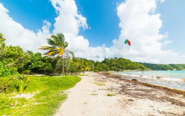 Caraïbes