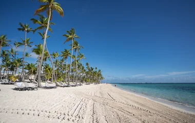 Voyage en Martinique en décembre