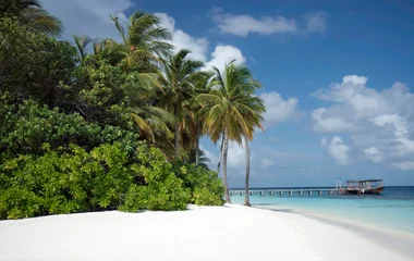 Una tipica spiaggia delle Maldive a luglio con sabbia bianchissima, palme e palafitte sullo sfondo