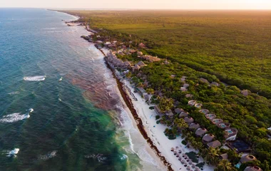 Entre forêt et eaux turquoise, Playa del Carmen