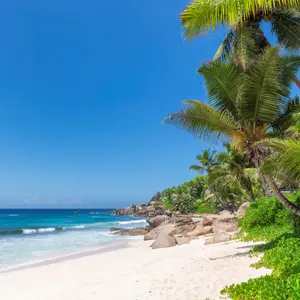 una spiaggia cristallina alle Maldive a settembre con palme in primo piano