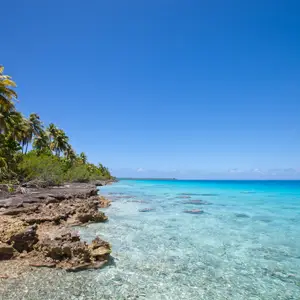 Fêtez le nouvel an à la Réunion
