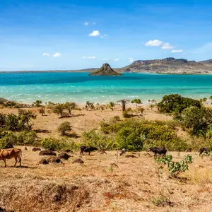 Vacances de Noël à Madagascar