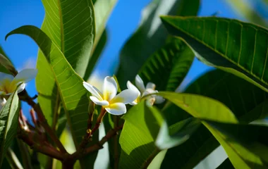 La Réunion