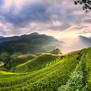 Fêtez Noël au Vietnam