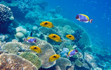 Partir à l’île Maurice, un petit coin de paradis