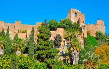 malaga