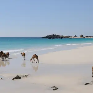 Les plages à Oman