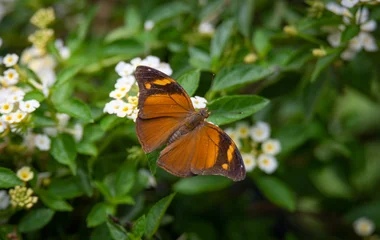 Que faire après une journée plage à Singapour ? Le Park Insect Kingdom de Singapour