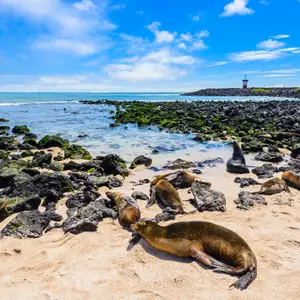 Îles Galapagos équateur