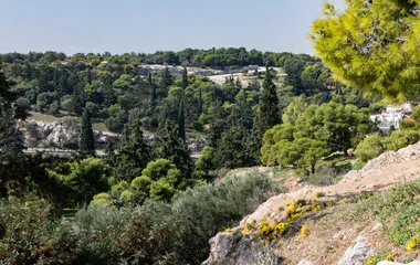 paysage grèce végétation