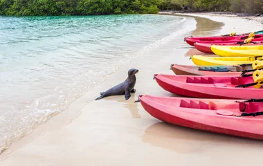 îles Galapagos équateur