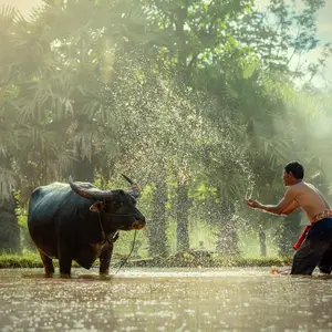 Quand partir au Laos ?