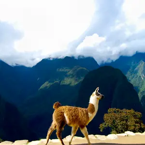 Quand partir au Pérou ?