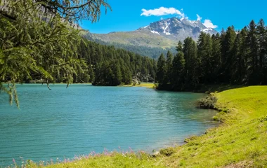 Montagnes suisses