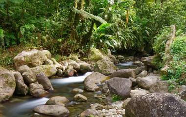 À la découverte des plus beaux sentiers de Martinique