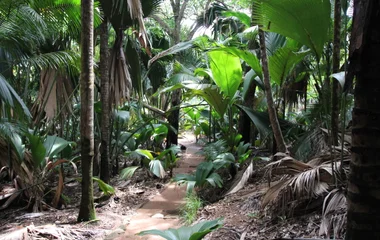 Glacis La Réserve, un incontournable de Mahé