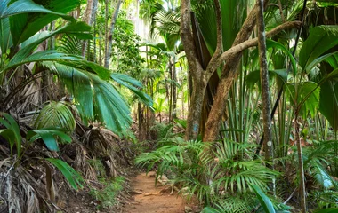 Seychelles en avril : balades dans les parcs nationaux