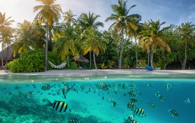 Des activités uniques à partager aux Seychelles