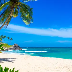 Voyage au Sri Lanka en octobre