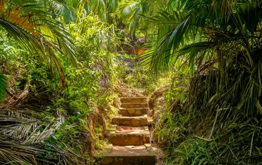 Que faire aux Seychelles en septembre ? Découvertes naturelles