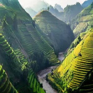 Vietnam en décembre