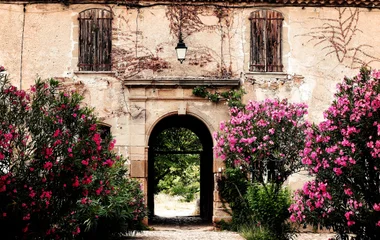 paysage