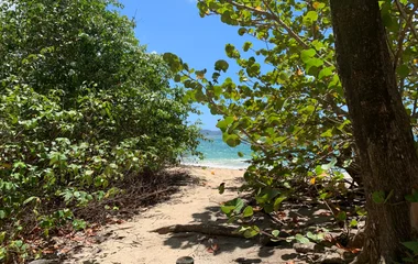 Paysage en bord de plage en Martinique