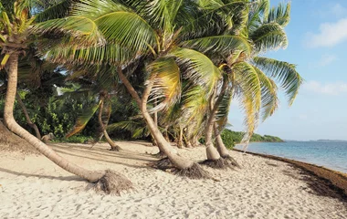 Martinique