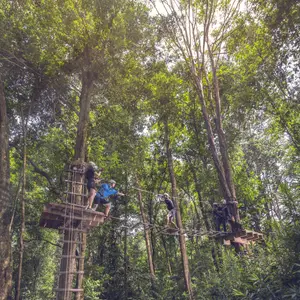 L'accrobranche en France
