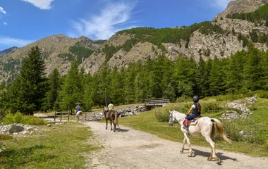équitation montagne en été