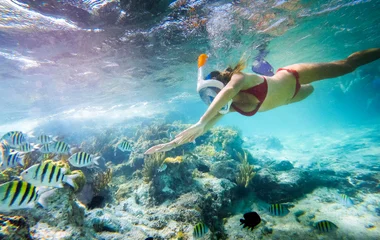 plongée snorkelling