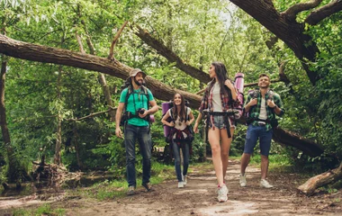 alpes montagnes été